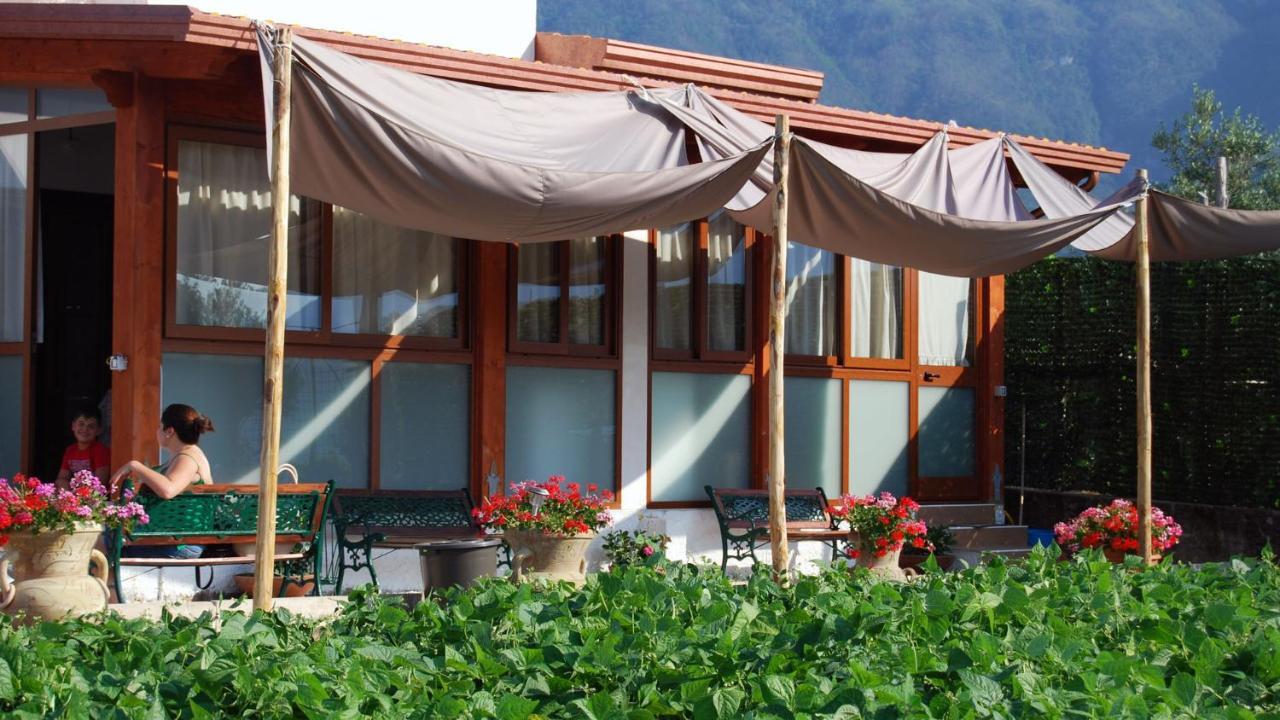 Madre Terra Villa Pimonte Buitenkant foto